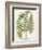 Fern Gathering I-Johann Wilhelm Weinmann-Framed Art Print