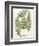 Fern Gathering I-Johann Wilhelm Weinmann-Framed Art Print