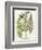 Fern Gathering I-Johann Wilhelm Weinmann-Framed Art Print