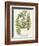 Fern Gathering I-Johann Wilhelm Weinmann-Framed Art Print