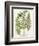 Fern Gathering I-Johann Wilhelm Weinmann-Framed Art Print