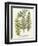 Fern Gathering I-Johann Wilhelm Weinmann-Framed Art Print