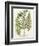 Fern Gathering I-Johann Wilhelm Weinmann-Framed Art Print