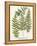 Fern Gathering I-Johann Wilhelm Weinmann-Framed Stretched Canvas