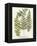 Fern Gathering I-Johann Wilhelm Weinmann-Framed Stretched Canvas