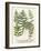 Fern Gathering II-Johann Wilhelm Weinmann-Framed Art Print