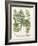 Fern Gathering II-Johann Wilhelm Weinmann-Framed Art Print