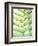 Fern Glow I-Jason Johnson-Framed Photographic Print