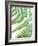 Fern Glow II-Jason Johnson-Framed Photographic Print