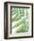 Fern Glow II-Jason Johnson-Framed Photographic Print