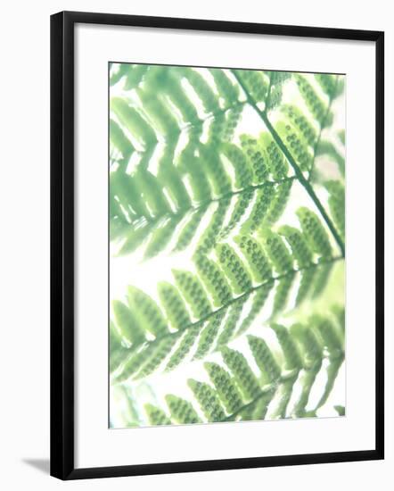 Fern Glow III-Jason Johnson-Framed Photographic Print