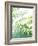 Fern Glow V-Jason Johnson-Framed Photographic Print