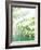 Fern Glow V-Jason Johnson-Framed Photographic Print