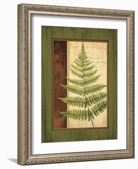 Fern Grotto I-Delphine Corbin-Framed Art Print