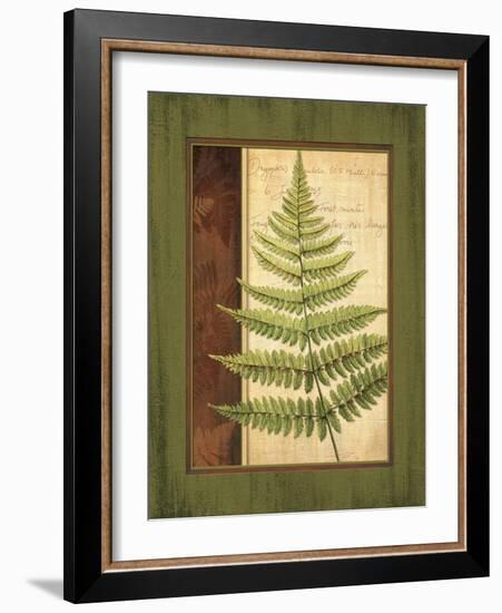 Fern Grotto I-Delphine Corbin-Framed Art Print