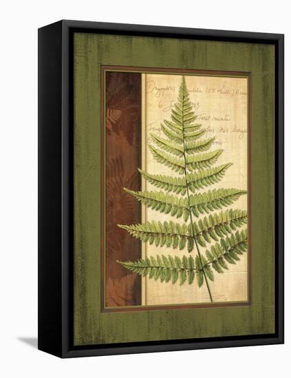 Fern Grotto I-Delphine Corbin-Framed Stretched Canvas