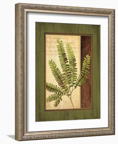 Fern Grotto II-Delphine Corbin-Framed Art Print