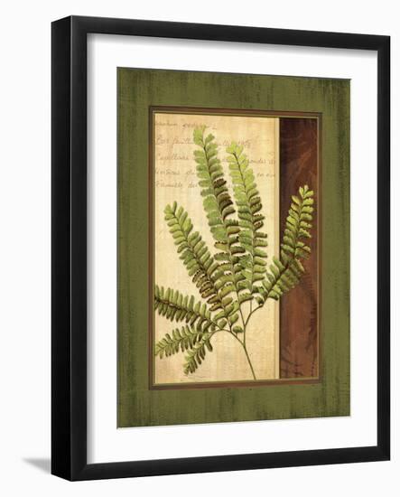 Fern Grotto II-Delphine Corbin-Framed Art Print