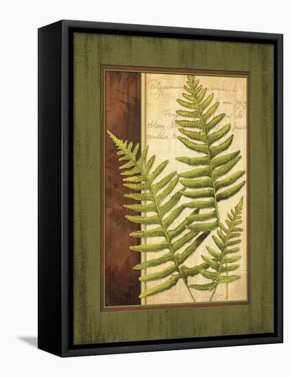 Fern Grotto III-Delphine Corbin-Framed Stretched Canvas