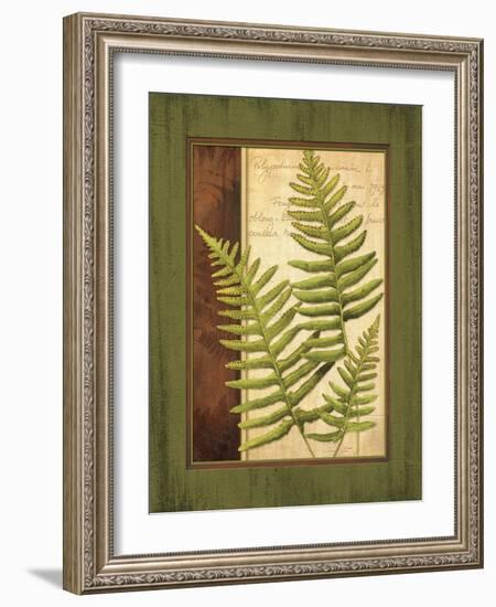 Fern Grotto III-Delphine Corbin-Framed Art Print