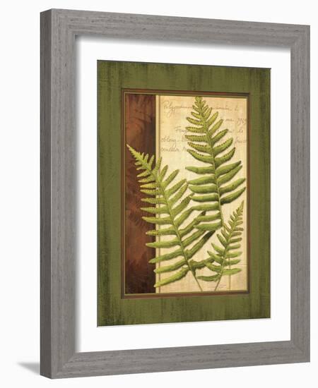 Fern Grotto III-Delphine Corbin-Framed Art Print