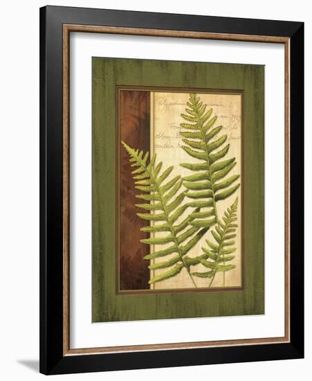 Fern Grotto III-Delphine Corbin-Framed Art Print