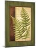 Fern Grotto III-Delphine Corbin-Mounted Art Print