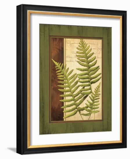 Fern Grotto III-Delphine Corbin-Framed Art Print