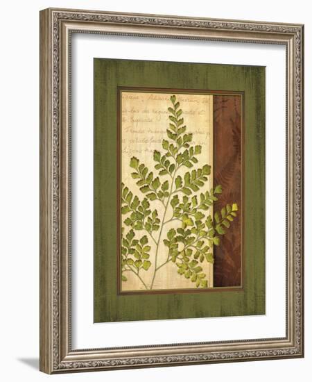 Fern Grotto IV-Delphine Corbin-Framed Art Print