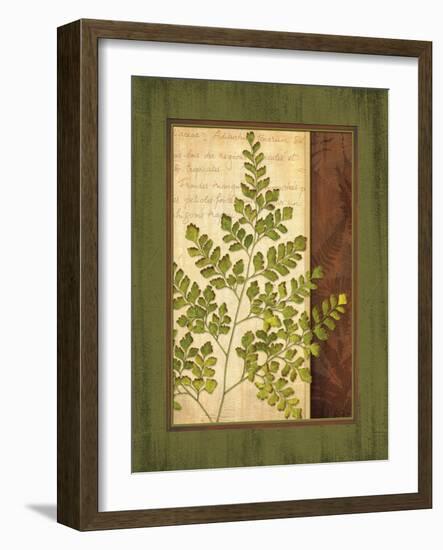 Fern Grotto IV-Delphine Corbin-Framed Art Print