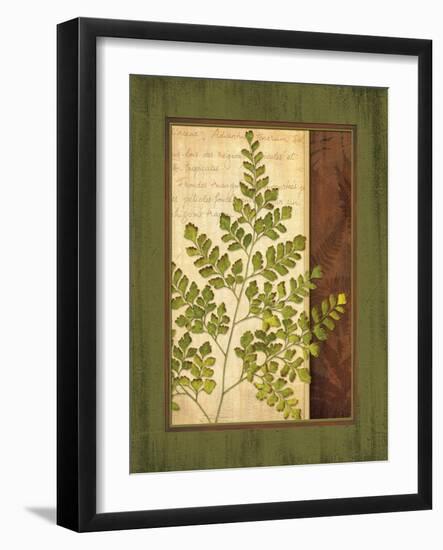 Fern Grotto IV-Delphine Corbin-Framed Art Print