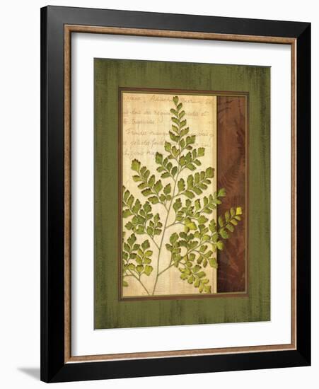 Fern Grotto IV-Delphine Corbin-Framed Art Print