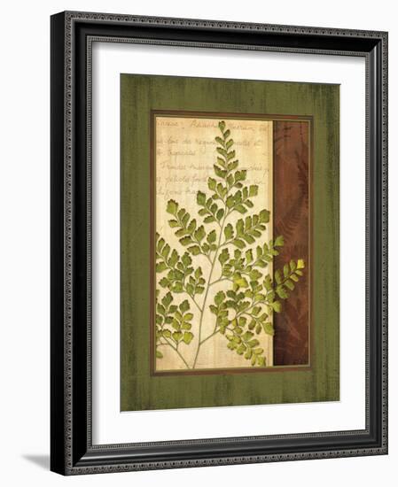 Fern Grotto IV-Delphine Corbin-Framed Art Print