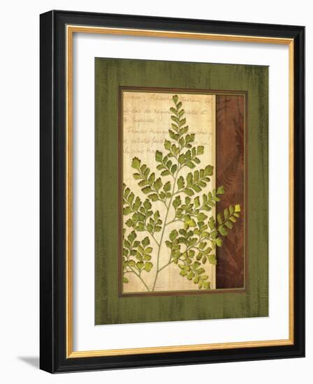 Fern Grotto IV-Delphine Corbin-Framed Art Print