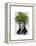 Fern Head Plant Head-Fab Funky-Framed Stretched Canvas