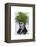 Fern Head Plant Head-Fab Funky-Framed Stretched Canvas