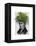 Fern Head Plant Head-Fab Funky-Framed Stretched Canvas