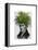 Fern Head Plant Head-Fab Funky-Framed Stretched Canvas