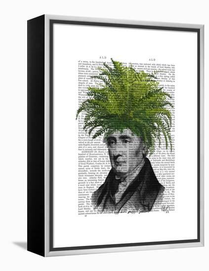 Fern Head Plant Head-Fab Funky-Framed Stretched Canvas