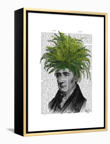 Fern Head Plant Head-Fab Funky-Framed Stretched Canvas