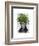 Fern Head Plant Head-Fab Funky-Framed Art Print