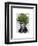 Fern Head Plant Head-Fab Funky-Framed Art Print