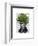 Fern Head Plant Head-Fab Funky-Framed Art Print