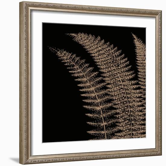 Fern I (on black)-Botanical Series-Framed Art Print