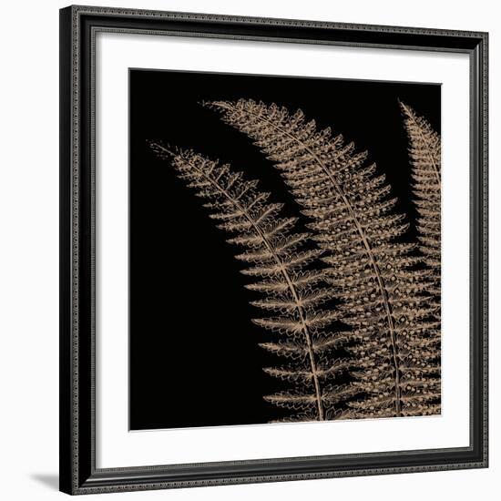 Fern I (on black)-Botanical Series-Framed Art Print