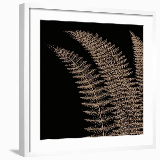Fern I (on black)-Botanical Series-Framed Art Print