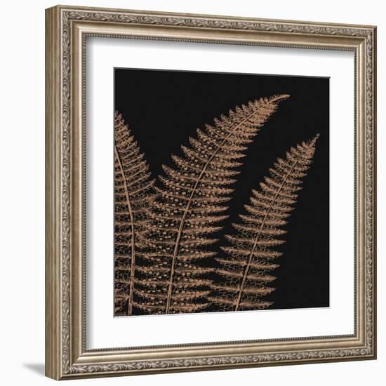 Fern II (on black)-null-Framed Art Print