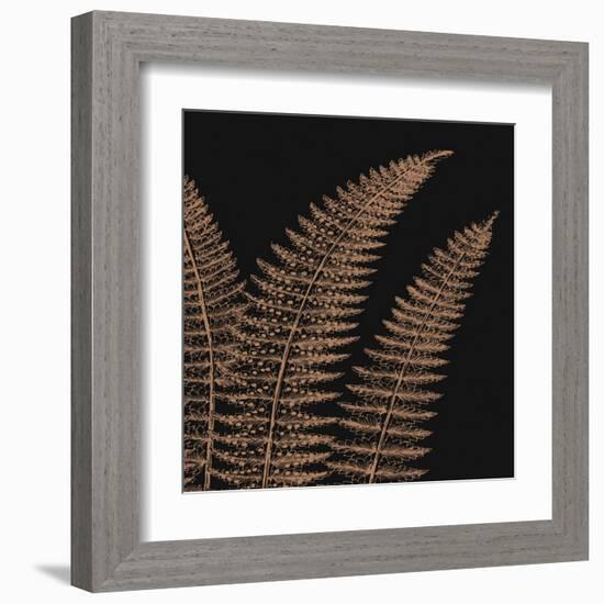 Fern II (on black)-null-Framed Art Print