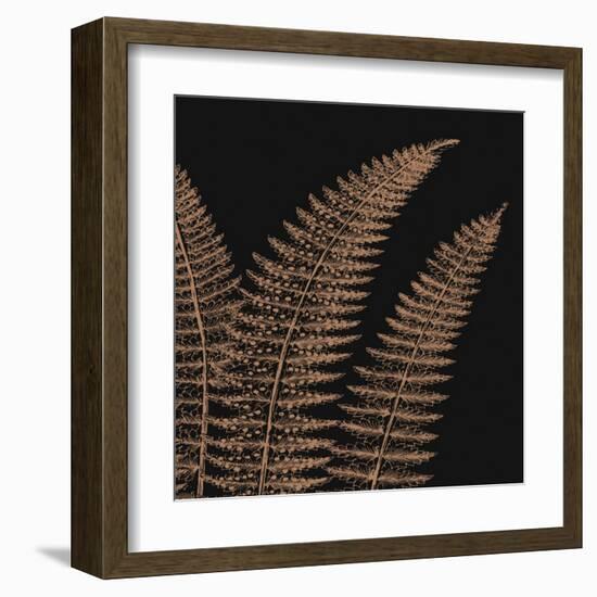 Fern II (on black)-null-Framed Art Print