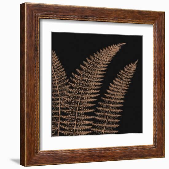 Fern II (on black)-null-Framed Art Print